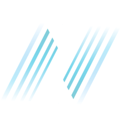 Avior Capital Markets
