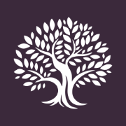 Olive Tree Capital Markets