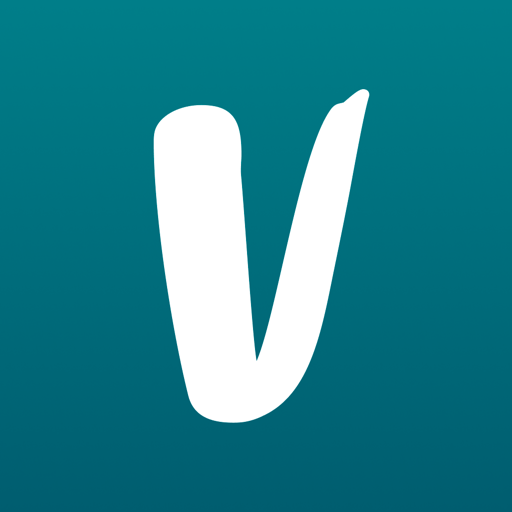 Vinted Pay