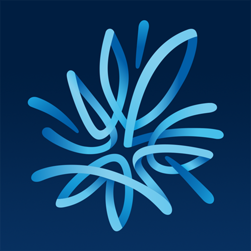 AMP Bank
