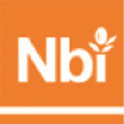 NBI Investments